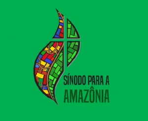 Sobre o Sínodo da Amazônia: Uma análise Teológica